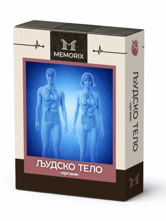 ЉУДСКО ТЕЛО – ОРГАНИ